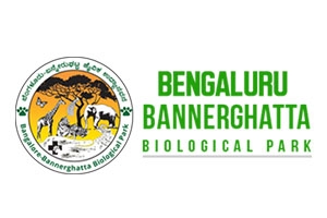 Brand Name : Brand Short Description Type Here.