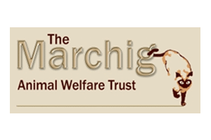 Brand Name : Brand Short Description Type Here.