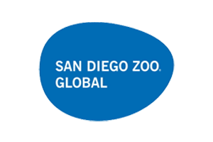 Brand Name : Brand Short Description Type Here.